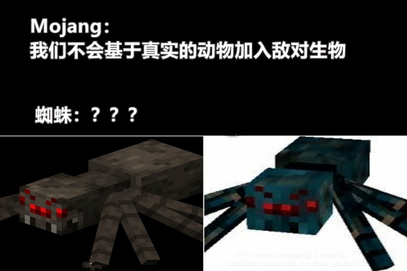 我的世界Mojang打脸时刻蜘蛛不是基于真实动物的敌对生物吗